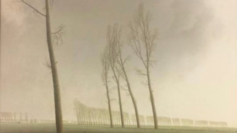 Kees Veenendaal (1942-2011) geïnspireerde landschappen