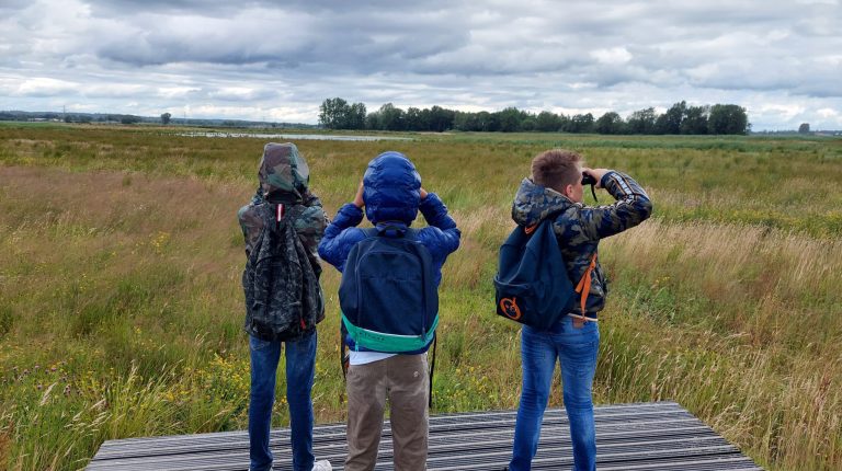 Maand van de geschiedenis: ‘Het Binnenveld: Grenzeloos natuurlijk’